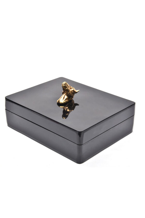 GOLD STALLION - Image 2