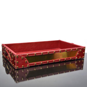 TENDER CARE TRAY