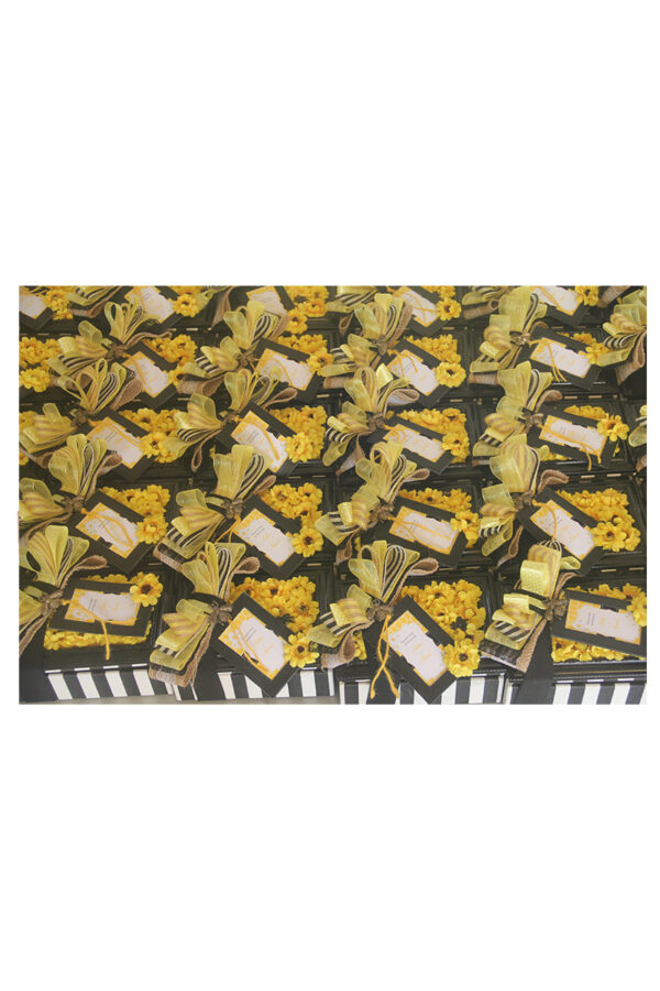 BABY SHOWER HONEY BEE THEMED BOXES