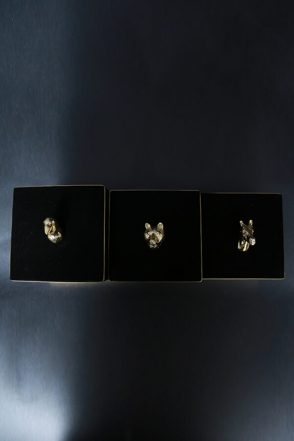 JUNGLE TRIO - Image 2